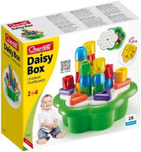 Load image into Gallery viewer, Daisy Basket Chunky Peggy
