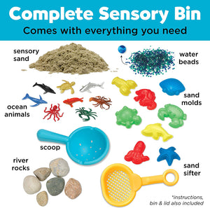 Sensory Bin: Ocean and Sand